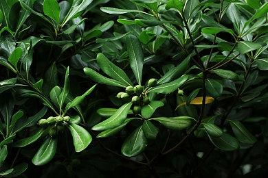 微软Xcloud云游戏 vs Xbox One：帧数画质载入时间都更好